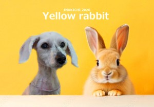 うさぎ -星野なな