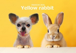 うさぎ -大津ココ