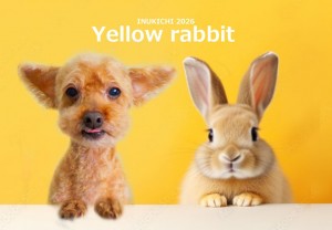 うさぎ 川口そら