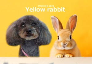 うさぎ -高橋梅