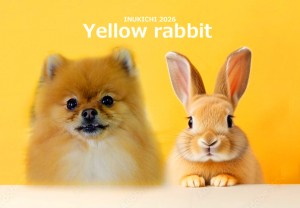 うさぎ -奥村くう