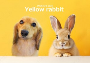 うさぎ 磯崎ツーク