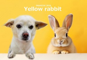 うさぎ 関マシューJ