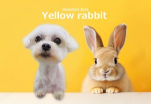 うさぎ 田部リリ