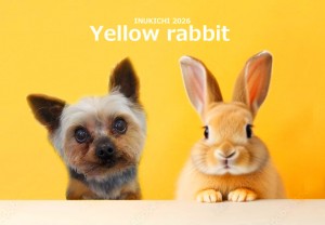 うさぎ -安江ロン