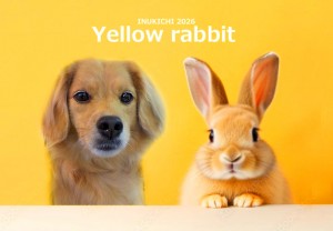 うさぎ 山崎ロペ