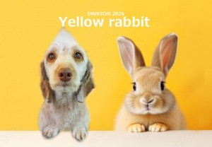 うさぎ -米山チョコビ