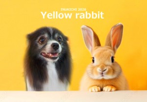 うさぎ -北村ポンタ