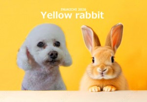 うさぎ -_尾登白姫