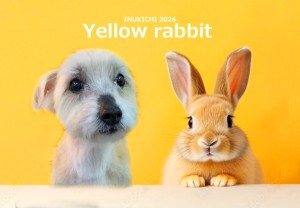 うさぎ -榎本あおい