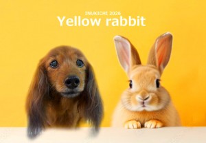 うさぎ -高橋オリーブ