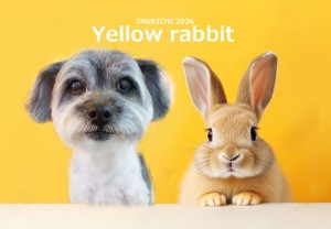 うさぎ -榎本るい