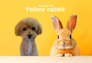 うさぎ -高橋レオ