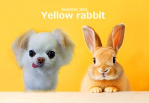 うさぎ -鳥居エマ