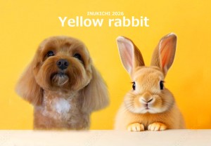 うさぎ -奥村まる