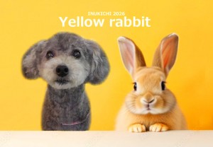 うさぎ -直井ジョン