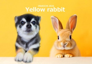 うさぎ -古林ベル