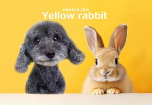 うさぎ -瀬戸シュシュ