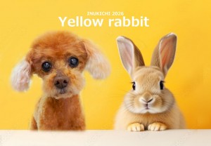 うさぎ -なかむらMOMO